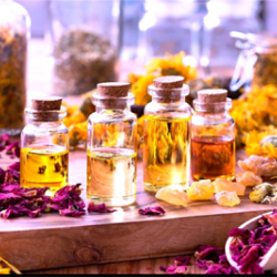 Fragrances and essential oils